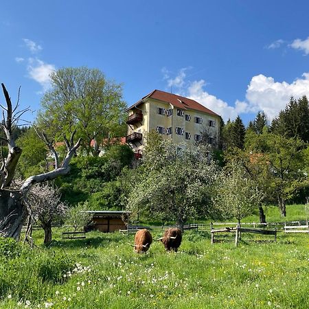 Hotel Landsitz Pichlschloss Neumarkt in Steiermark Экстерьер фото