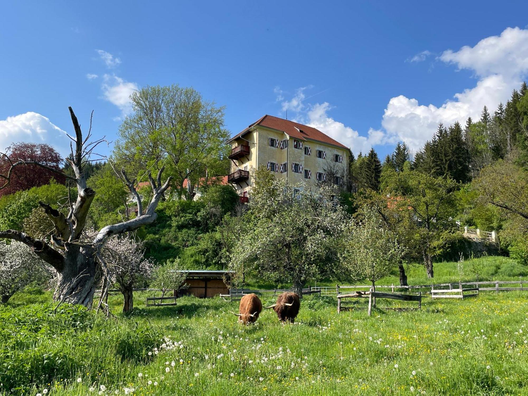 Hotel Landsitz Pichlschloss Neumarkt in Steiermark Экстерьер фото